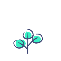 mlytics basic plan